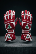 Alfa Romeo Karting Gloves 2024 - Front View